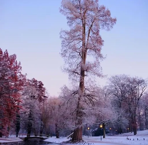 Design-appartement Im Zentrum *