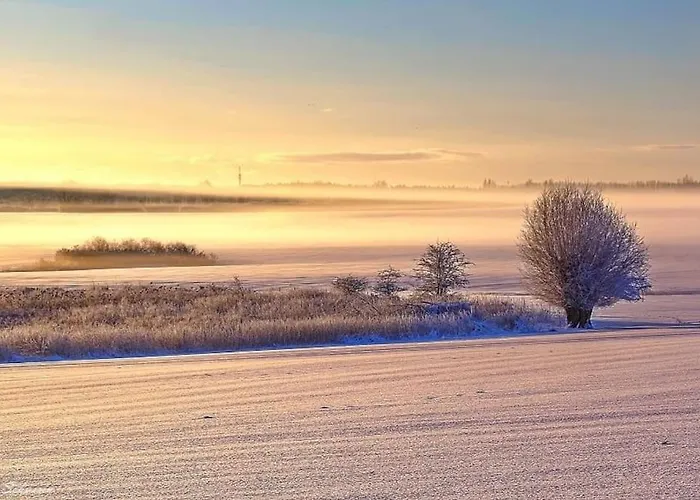 Design-appartement Im Zentrum Apartment